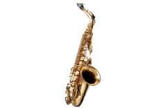 Saxophonunterricht Mannheim